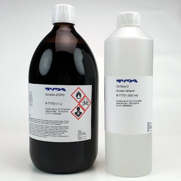 Kit de solution d'Oil Red O - 2 flacons