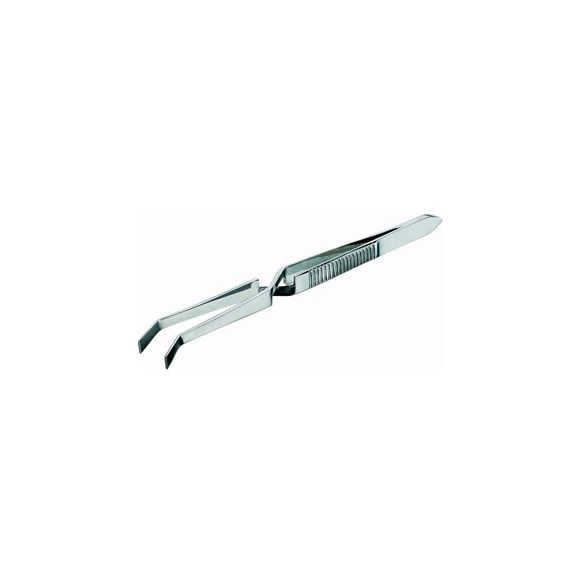 Pince autobloquante courbée inox 105 mm